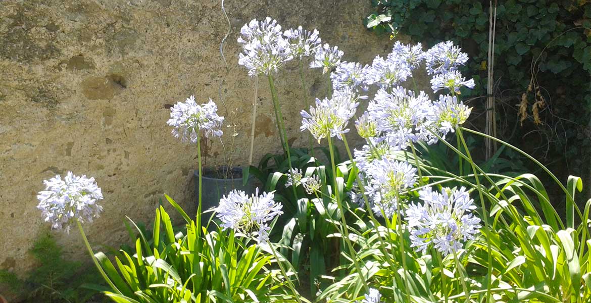 gite aude 2 personnes, location vacances narbonne entre particuliers, location pas cher narbonne, location de vacances narbonne, gite pres de carcassonne, maison vacances narbonne, location aude pas cher, carcassonne location, gite aude pas cher, vacances à narbonne, gites autour de narbonne, location chambre d'hote aude, chambre d hote a carcassonne, chambre d hote aude, site location gite aude, sejour aude, gite derniere minute, location gite rural